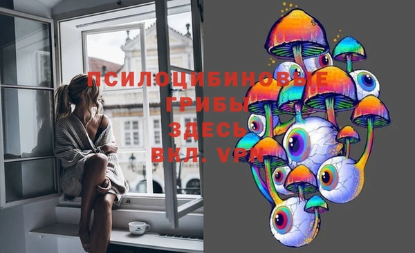прущая мука Алексин