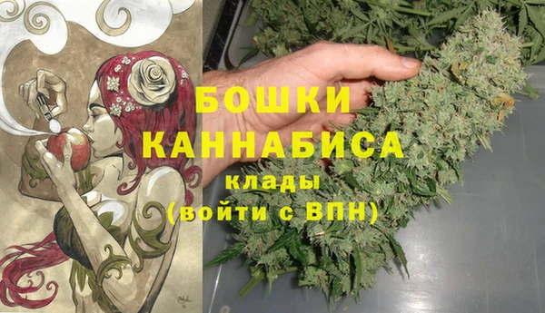 молекула духа Алзамай